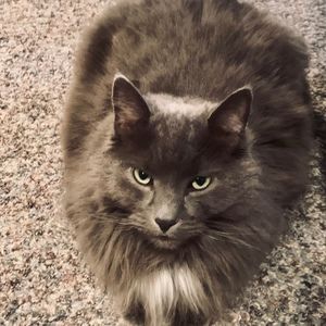 Meet your Posher, Brenda